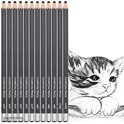 Prescent Professional Charcoal Pencils Set 12 Pcs for sketching, drawing, shading and more-thumb2