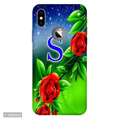 Stylish Multicolor PlasticApple iPhone XBack Cover