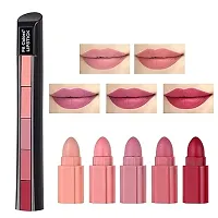 5in1 Lipstick Combo 10 Shades ( 5 Nude Colour and 5 different Red Colours) Long stay and non transferable. Most selling Combo because of only quality and Quantity.-thumb1