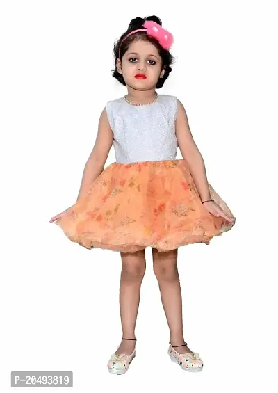pari fashion Baby Girls Frock Dress Cotton Net Round Neck Frock for Baby Girls Knee Length A-Line Dress