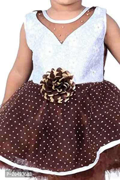 pari fashion Baby Girls Bonding Designer  Net Frock Dress (3-4 Years) (coffi  Silver)