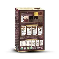 QuikHenna Organic Hair Colour Gel 9RG Burgundy - PPD  Ammonia Free Permanent Natural Hair Colour 120gm-thumb1