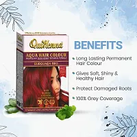 byPureNaturals QuikHenna Aqua Powder Hair Colour for Men  Women, 110GM | Long Lasting Powder Hair Colour | PPD  Ammonia Free Hair Color-thumb4
