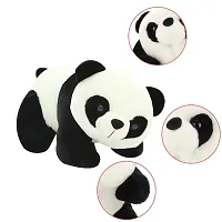 F&N Home Decor Super Cute and Lovely Panda Teddy Soft Toy | Fun and Playtime, Small Size Animal Toy for Kids | Black, White, 30 cm (Appearance May Vary)-thumb1