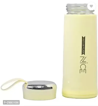 Stylish Insulated Steel Water Bottle