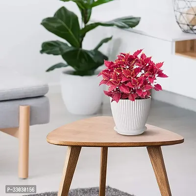 Elevating Decorative Flower Pot-thumb0