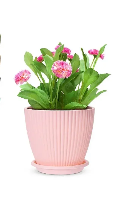 Trendy Artificial Flowers & Vases 