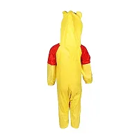 Fabulous Multicoloured Synthetic Self Pattern Animal Costume For Boys-thumb2