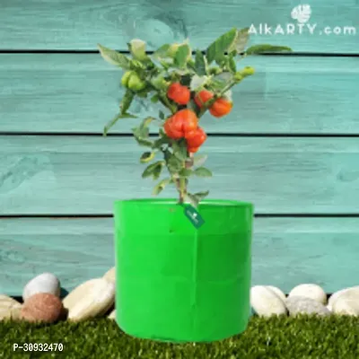 12x12 Inch 350 GSM HDPE GROW BAG