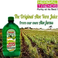 Herbal Trends Pure Aloe Vera Drinking Gel Juice with Pulp 1 Liter  30Days Fresh Guaranteed Direct from Manufacturer-thumb4