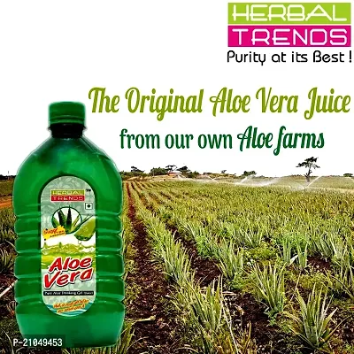 Herbal Trends Pure Aloe Vera Drinking Gel Juice with Pulp 1 Liter  30Days Fresh Guaranteed Direct from Manufacturer-thumb5