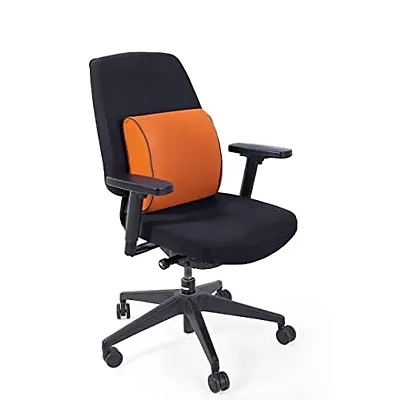 Seat Cushion & Lumbar Support Pillow for Office India