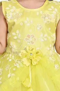 Maream Enterprise Net Casual Floral Knee Length Frock Dress-thumb4