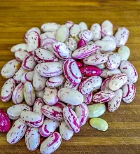 Hybrid Red Beans Sutra (Cranberry Beans) Winter Vegetable Seeds Pack Of 15-thumb2