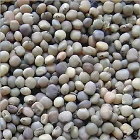 Hybrid Cluster Beans Winter Vegetable Seeds Pack Of 50-thumb2