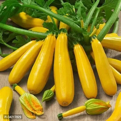 Zucchini Yellow Squash Winter Vegetable Seeds Pack Of 10