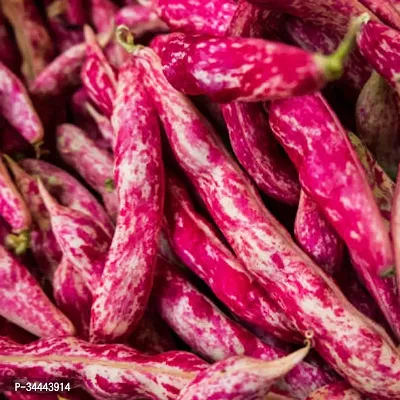 Hybrid Red Beans Sutra (Cranberry Beans) Winter Vegetable Seeds Pack Of 15-thumb0