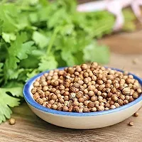 Coriander (Dhana, Dhaniya) Winter Vegetable Seeds Pack Of 100-thumb2