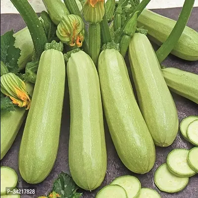 Zucchini Light Green Squash Winter Vegetable Seeds Pack Of 10