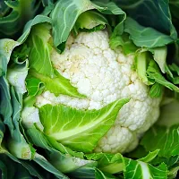 Organic Cauliflower (Ful Ghobi) Winter Vegetable Seeds Pack Of  50-thumb1