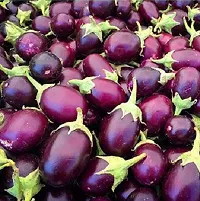 Hybrid Gulabi Brinjal Winter Vegetable Seeds Pack Of 50-thumb1