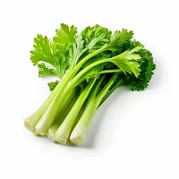 Hybrid Celery (Ajmoda) Winter Vegetable Seeds Pack Of 100-thumb1