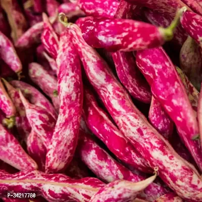 Red Beans Sutra (Cranberry Beans) Winter Vegetable Seeds Pack Of 15-thumb0