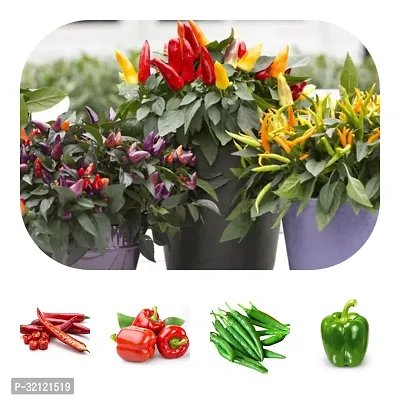 Multi Vegetable Seeds Combo Pack of 5-thumb0