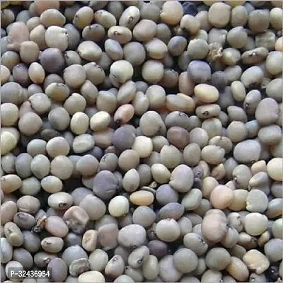 Cluster Bean (Guvar) Desi Vegetable Seeds Pack Of 50-thumb3