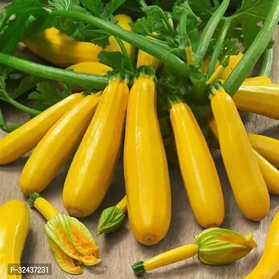 Zucchini Yellow Vegetable Seeds Pack Of 10