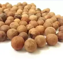 White Chandan (Sandalwood) Tree , Santalum album , Indian sandalwood,  Chandanam Pack Tree Of 10-thumb1