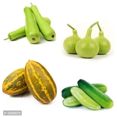 Vegetable Seeds Cucumber / Bottle Gourd Seeds Combo Pack Of 4