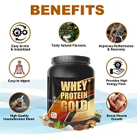 Nutriley Whey Protein Gold Powder Nutritional Supplement, Muscle Protein, Muscle Gainer, Body Gainer Protein, Muscle Gainer Protein, Whey Protein, Whey Protein  500 G American Ice Cream Flavour-thumb2