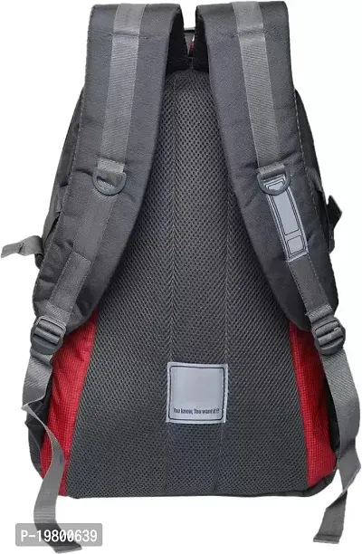 VOILA Casual Laptop Backpack For Men, Women Red-thumb3