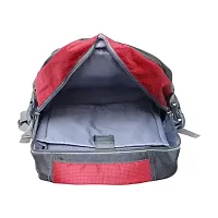 VOILA Casual Laptop Backpack For Men, Women Red-thumb3