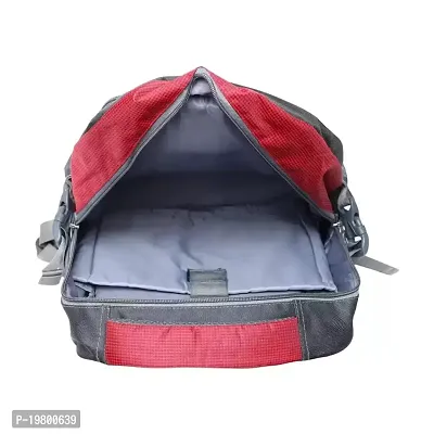 VOILA Casual Laptop Backpack For Men, Women Red-thumb4