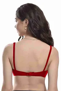 Bra For women Regular wear women bra combo 3-thumb1