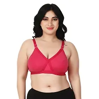 Cross belt bra for women pack of 3-thumb3