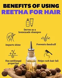 Goodsmaze Reetha Powder For Hair, 100 grams-thumb2