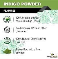 Goodsmaze - 100% Organic and Herbal Indigo Powder, for Natural Hair Coloring, Arrests Early Greying  Protects hair from Damage - 100g-thumb2