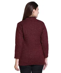 Stylish Fancy Woolen Casual Wear Sweater For Women-thumb1