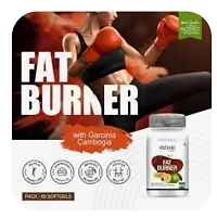 Proveda  Nutriciocirc; Fat Burner Ayurvedic  FOR WEIGHT LOSS and for Scientific Weight Management-thumb2