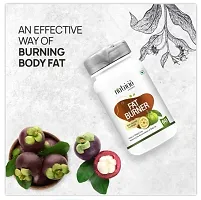 Proveda  Nutriciocirc; Fat Burner Ayurvedic  FOR WEIGHT LOSS and for Scientific Weight Management-thumb3