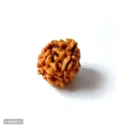 The 3 Mukhi Rudraksha is a type of Rudraksha-thumb0