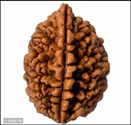 The 2 Mukhi Rudraksha refers to a specific type of Rudraksha bead