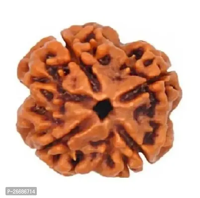 The 4 Mukhi Rudraksha is a type of Rudraksha bead that has four natural clefts or faces-thumb0