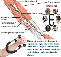 Power Muscular Professionals Ergonomic Wrist And Hand Exerciser-thumb1