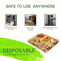 SMS Hydrotech Disposable Plates | 5 Compartment (Pack of 25) | Biodegradable Eco-Friendly Dinner Plate | Disposal Square Thali| Microwave Safe Plates, Breakfast Plates, Disposable Plates-thumb3