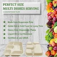 SMS Hydrotech Disposable Plates | 5 Compartment (Pack of 25) | Biodegradable Eco-Friendly Dinner Plate | Disposal Square Thali| Microwave Safe Plates, Breakfast Plates, Disposable Plates-thumb2