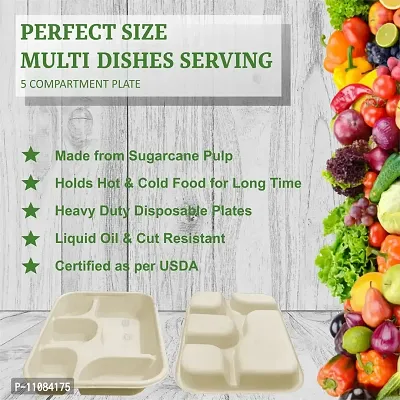 SMS Hydrotech Disposable Plates | 5 Compartment (Pack of 25) | Biodegradable Eco-Friendly Dinner Plate | Disposal Square Thali| Microwave Safe Plates, Breakfast Plates, Disposable Plates-thumb3